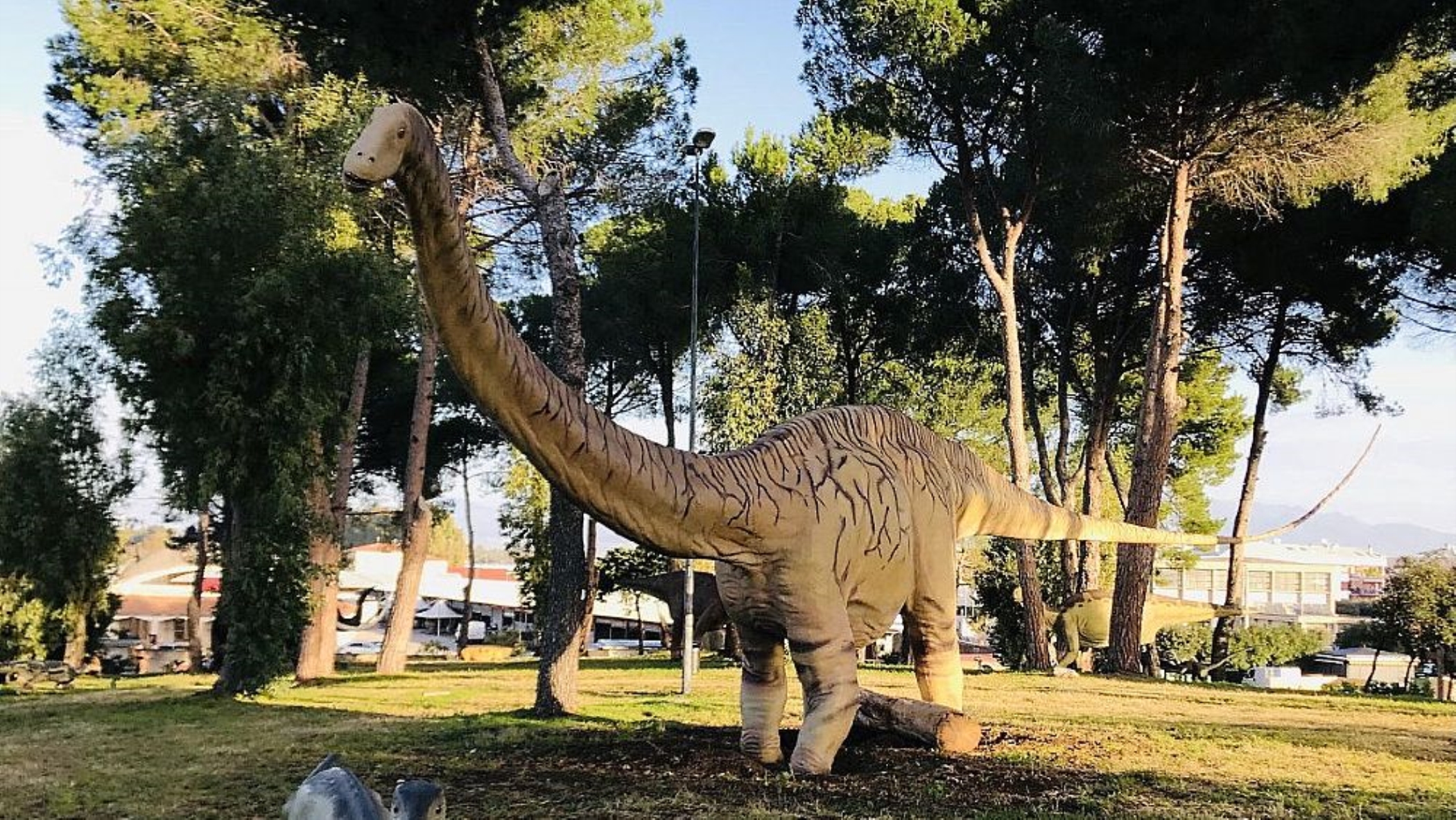 Scopri il Dino Park a Paestum nel 2023, Parco La Collinetta